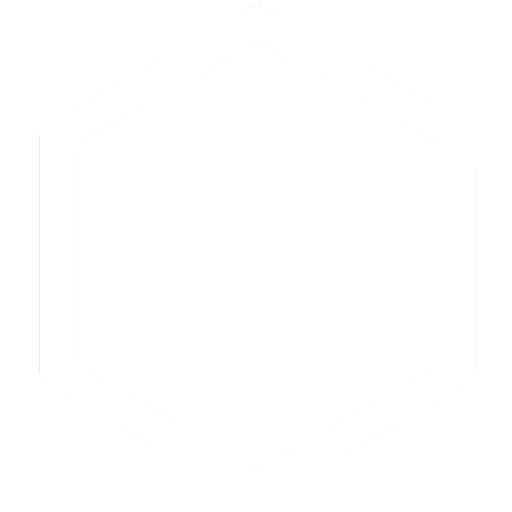 house icon